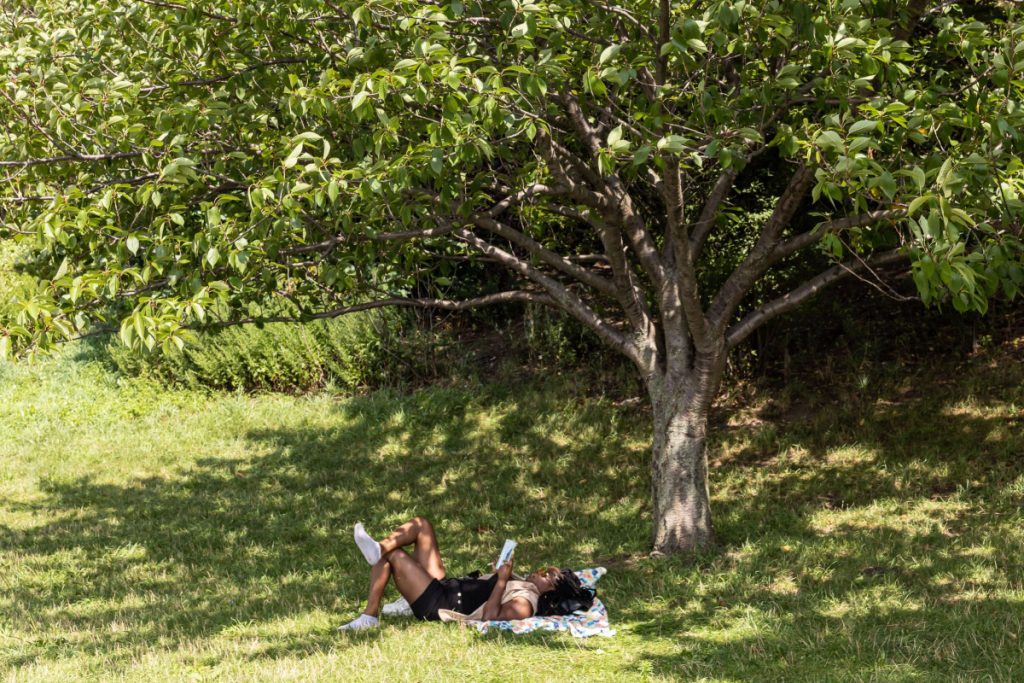 A woman reading a book under a tree near 720 West End Avenue